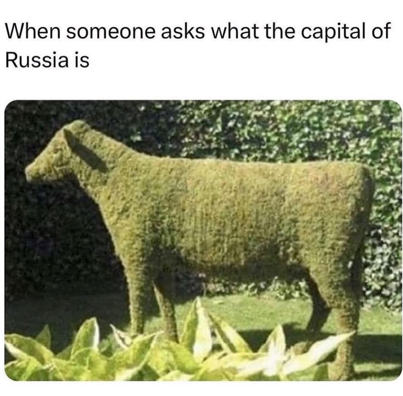When someone asks what the capital of Russia is