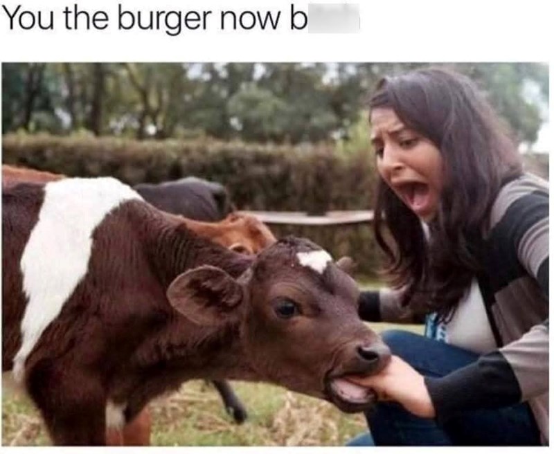 You the burger now b
