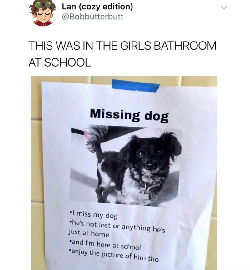 Lan (cozy edition) @Bobbutterbutt THIS WAS IN THE GIRLS BATHROOM AT SCHOOL Missing dog miss my dog •he's not lost or anything he's just at home ⚫and I'm here at school ⚫enjoy the picture of him tho