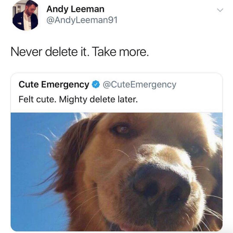 Andy Leeman @AndyLeeman91 Never delete it. Take more. Cute Emergency @CuteEmergency Felt cute. Mighty delete later.
