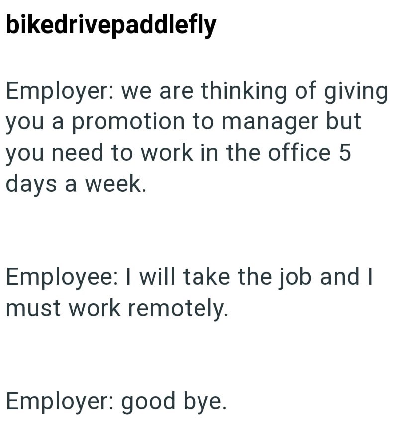 bikedrivepaddlefly Employer: we are thinking of giving you a promotion to manager but you need to work in the office 5 days a week. Employee: I will take the job and I must work remotely. Employer: good bye.