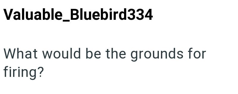 Valuable_Bluebird334 What would be the grounds for firing?