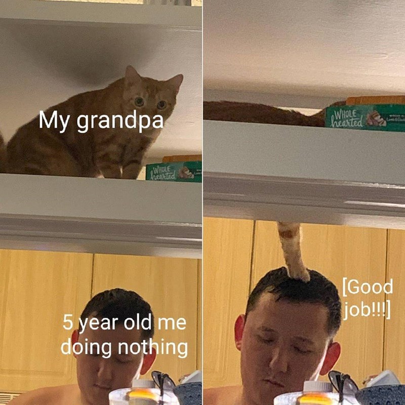 My grandpa WHOLE hearted 5 year old me doing nothing WHOLE hearted [Good job!!!]