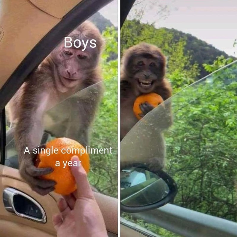 Boys A single compliment a year