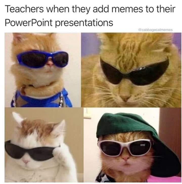Teachers when they add memes to their PowerPoint presentations @cabbagecatmemes