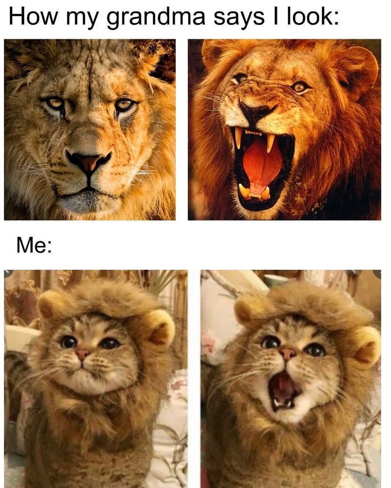 How my grandma says I look: Me: