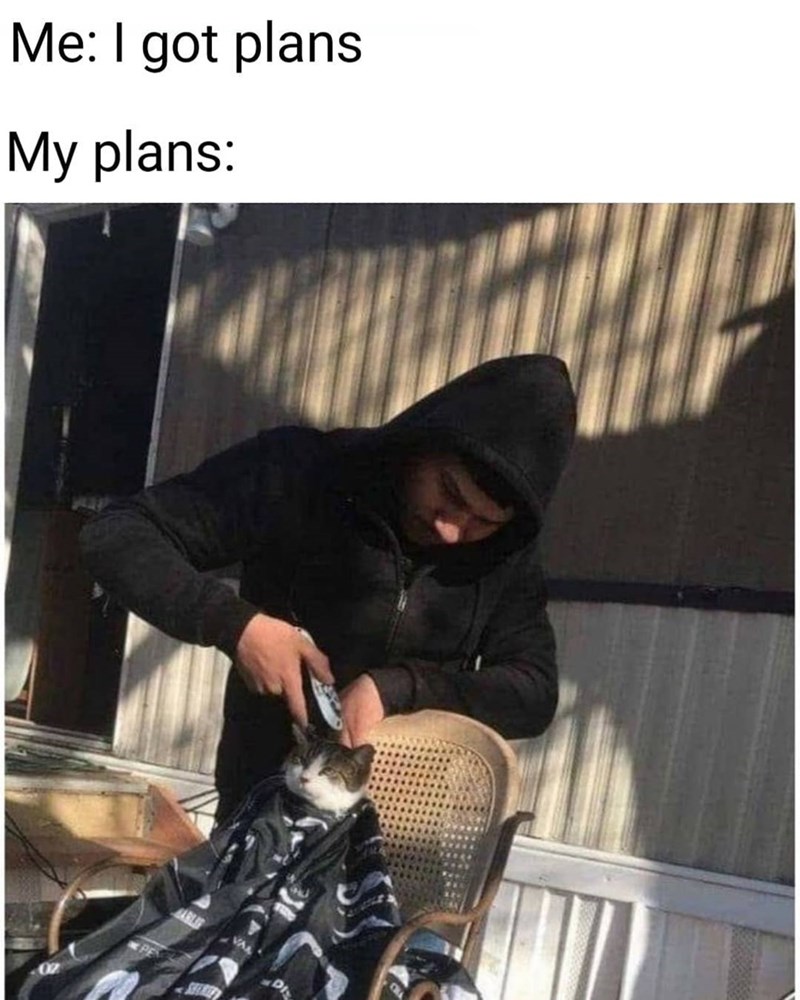 Me: I got plans My plans: VAL