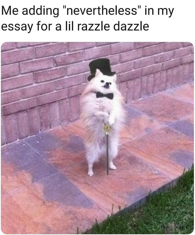 Me adding "nevertheless" in my essay for a lil razzle dazzle