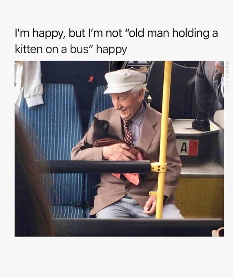 I'm happy, but I'm not "old man holding kitten on a bus" happy A