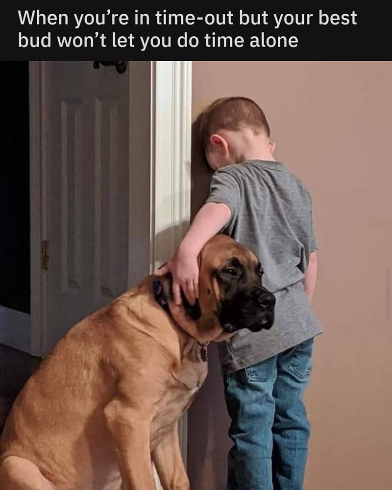 When you're in time-out but your best bud won't let you do time alone