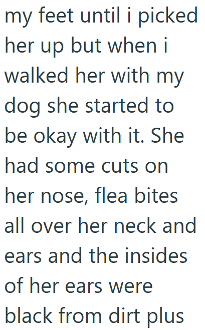 my feet until i picked her up but when i walked her with my dog she started to be okay with it. She had some cuts on her nose, flea bites all over her neck and ears and the insides of her ears were black from dirt plus