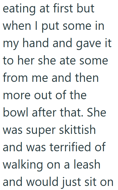 eating at first but when I put some in my hand and gave it to her she ate some from me and then more out of the bowl after that. She was super skittish and was terrified of walking on a leash and would just sit on