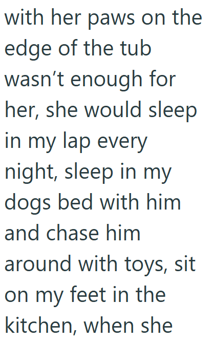 with her paws on the edge of the tub wasn't enough for her, she would sleep in my lap every night, sleep in my dogs bed with him and chase him around with toys, sit on my feet in the kitchen, when she