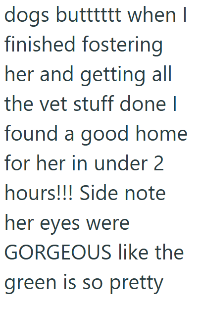 dogs butttttt when I finished fostering her and getting all the vet stuff done I found a good home for her in under 2 hours!!! Side note her eyes were GORGEOUS like the green is so pretty