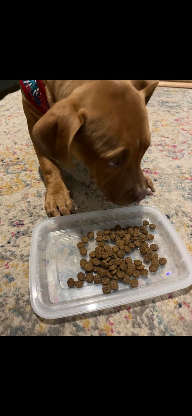 Cheezburger Image 10612376320