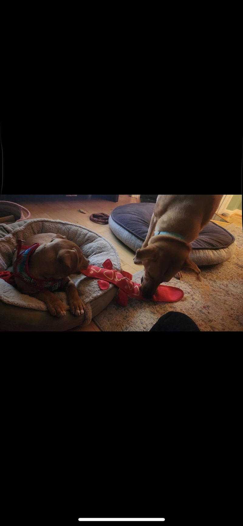 Cheezburger Image 10612377344