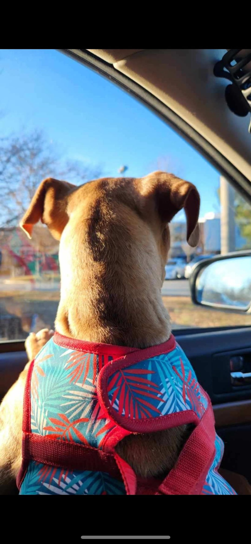 Cheezburger Image 10612378368