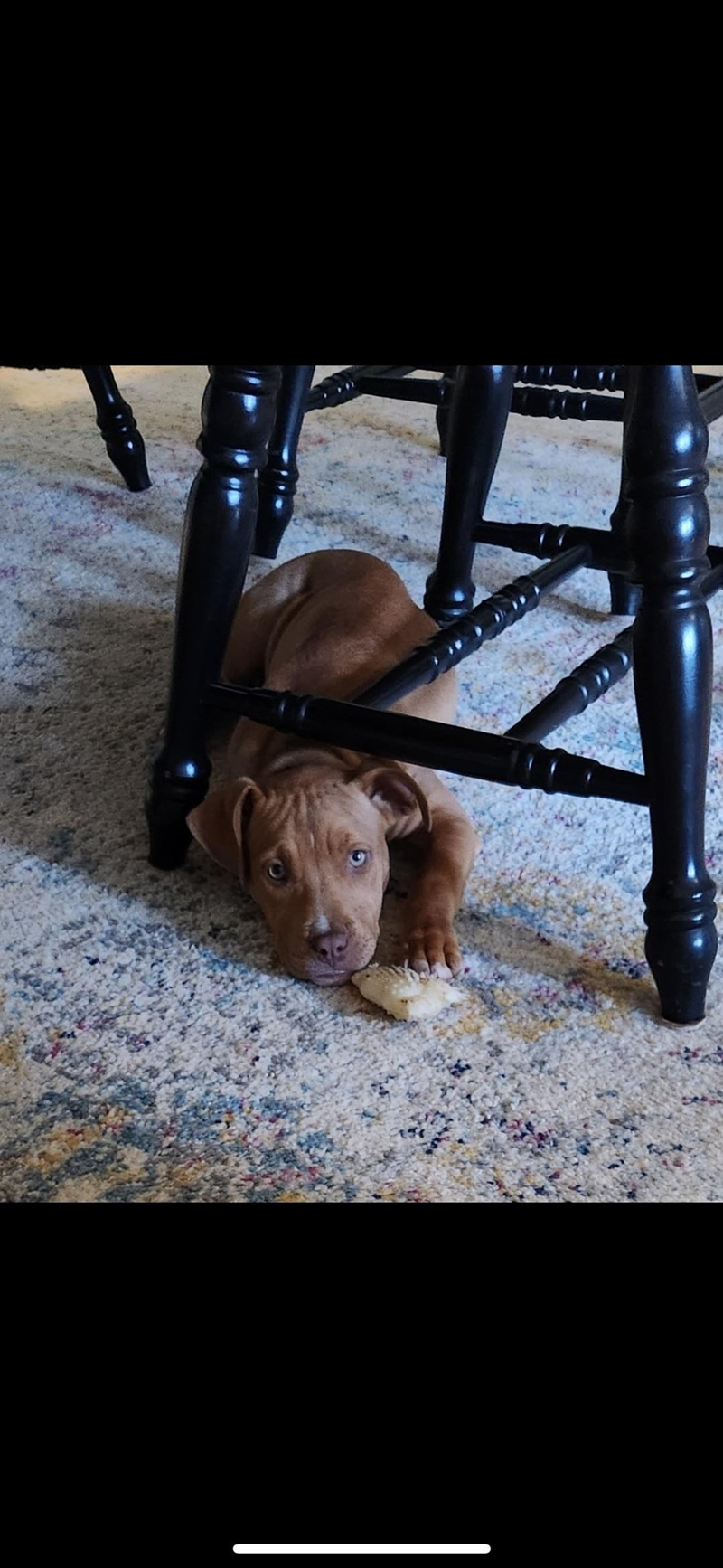 Cheezburger Image 10612378880