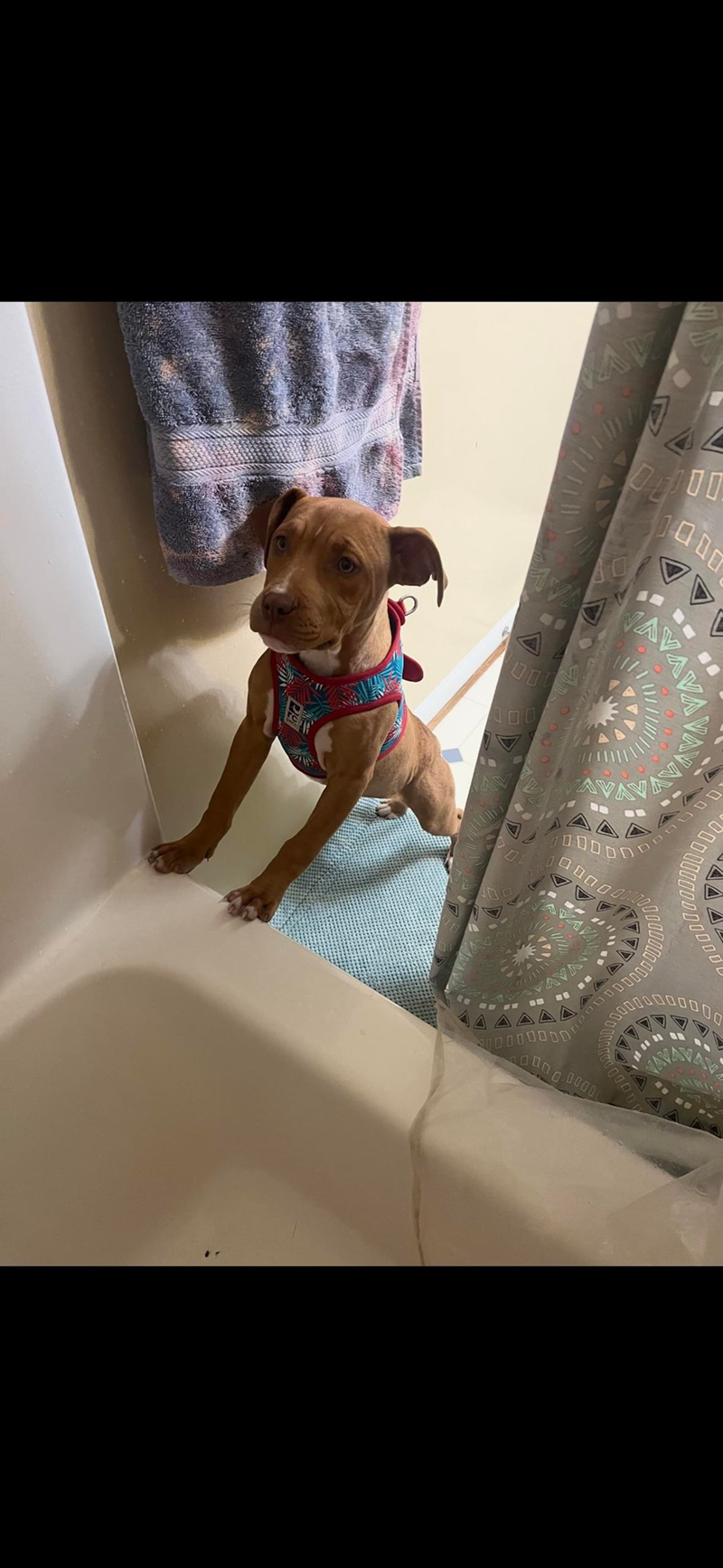 2000000 00000 000 000 A 00 1000