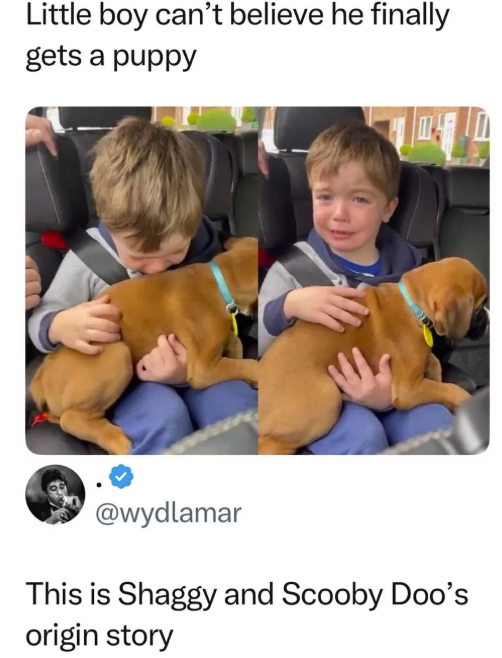 Little boy can't believe he finally gets a puppy @wydlamar This is Shaggy and Scooby Doo's origin story
