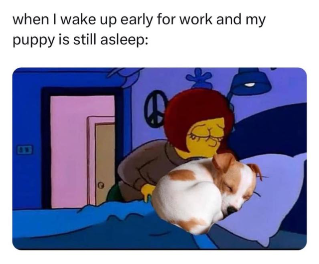 when I wake up early for work and my puppy is still asleep: の