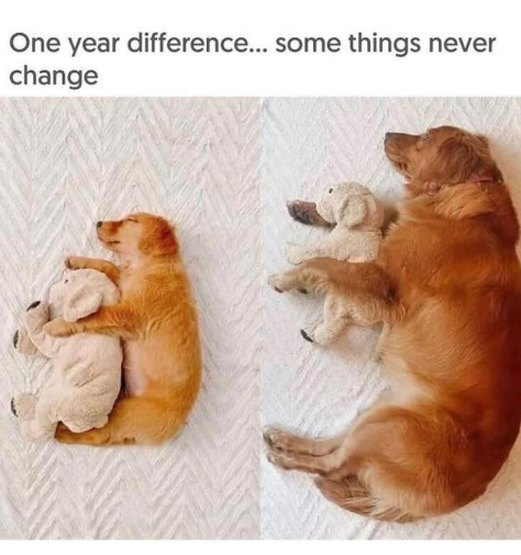 One year difference... some things never change