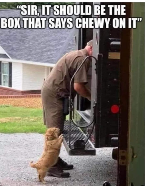 "SIR, IT SHOULD BE THE BOX THAT SAYS CHEWY ON IT"