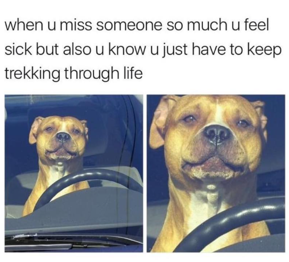 when u miss someone so much u feel sick but also u know u just have to keep trekking through life