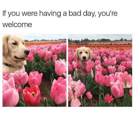 If you were having a bad day, you're welcome