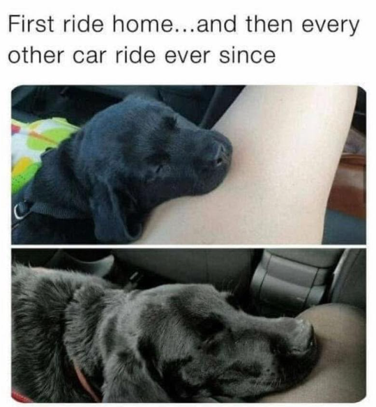 First ride home...and then every other car ride ever since