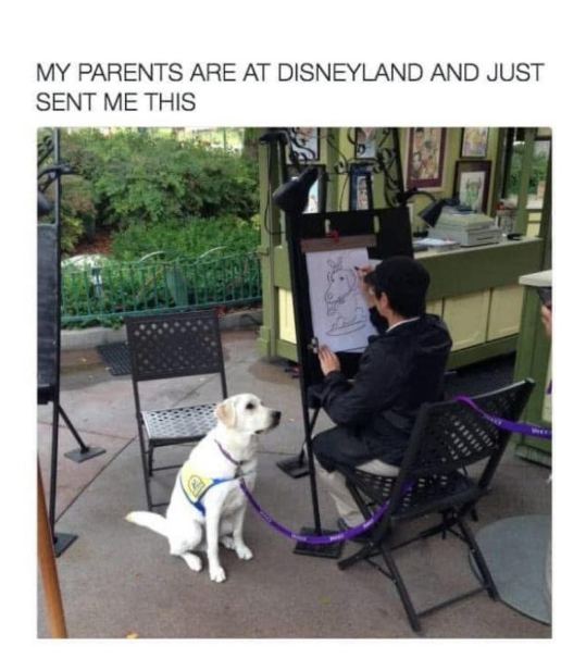 MY PARENTS ARE AT DISNEYLAND AND JUST SENT ME THIS