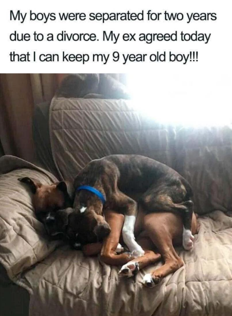 My boys were separated for two years due to a divorce. My ex agreed today that I can keep my 9 year old boy!!!