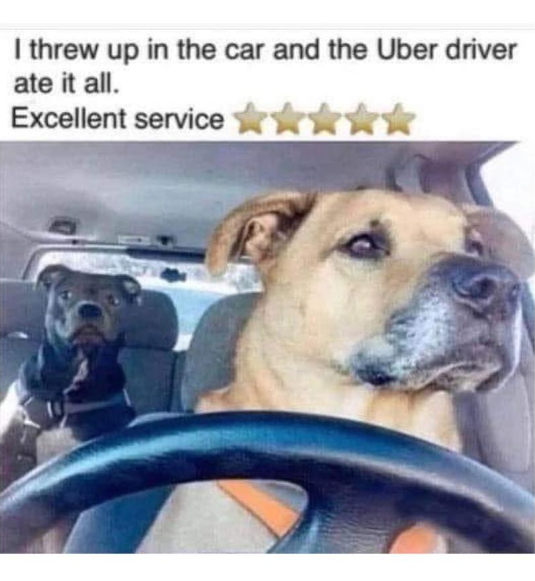 I threw up in the car and the Uber driver ate it all. Excellent service