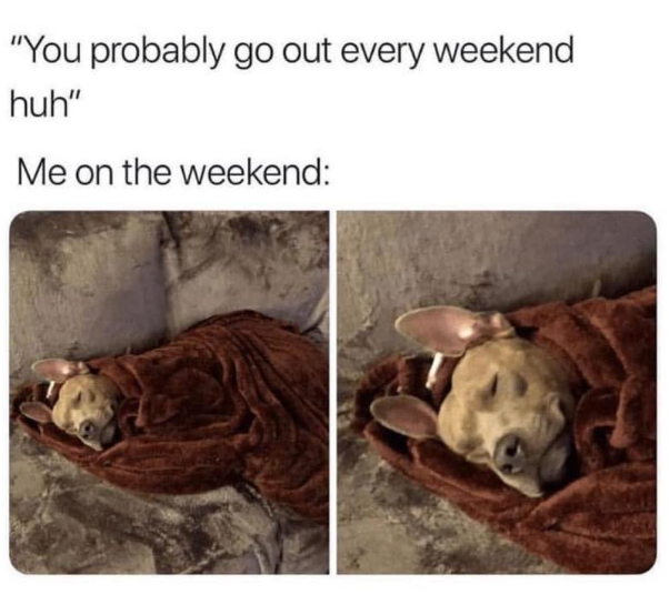 "You probably go out every weekend huh" Me on the weekend: