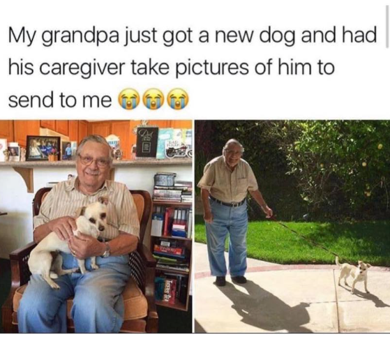 My grandpa just got a new dog and had his caregiver take pictures of him to send to me m