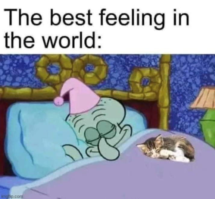 The best feeling in the world: imgflip.com