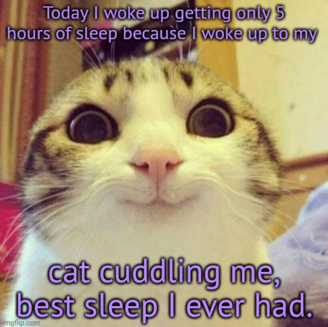 Today I woke up getting only 5 hours of sleep because I woke up to my cat cuddling me, best sleep I ever had. imgflip.com