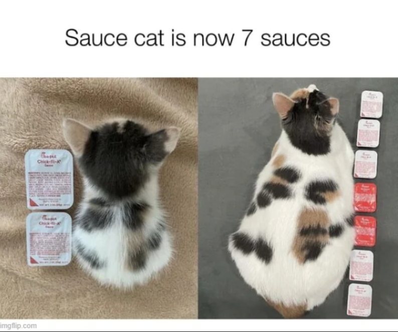imgflip.com Chick-fil-A Chick--A Sauce cat is now 7 sauces