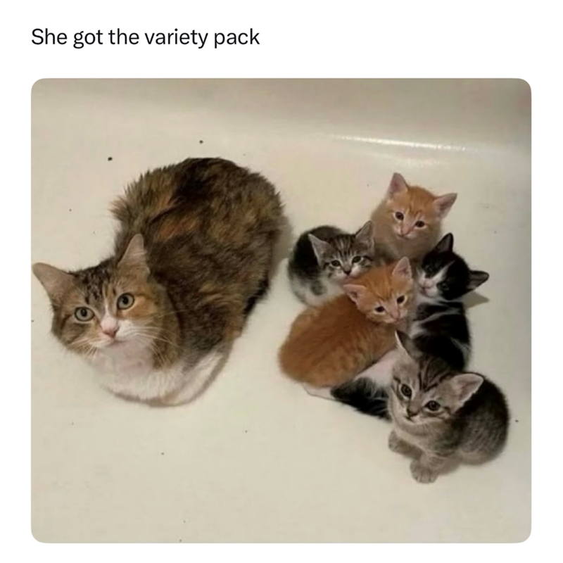 She got the variety pack