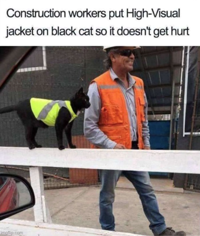 Construction workers put High-Visual jacket on black cat so it doesn't get hurt imgflip.com
