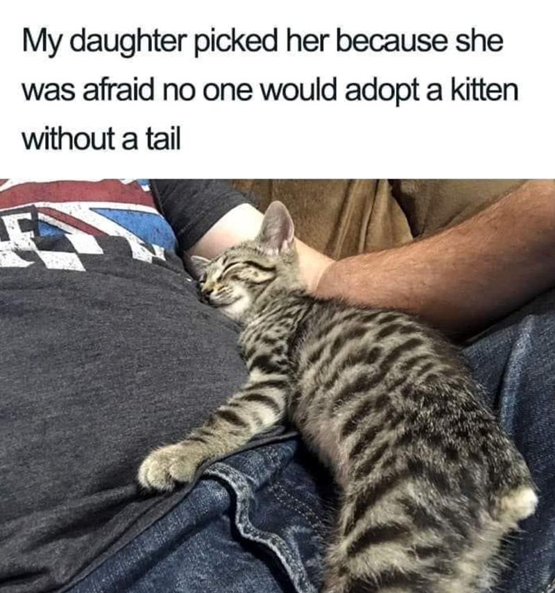 My daughter picked her because she was afraid no one would adopt a kitten without a tail