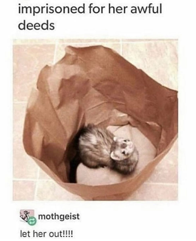 imprisoned for her awful deeds mothgeist let her out!!!!