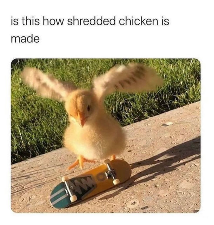 is this how shredded chicken is made