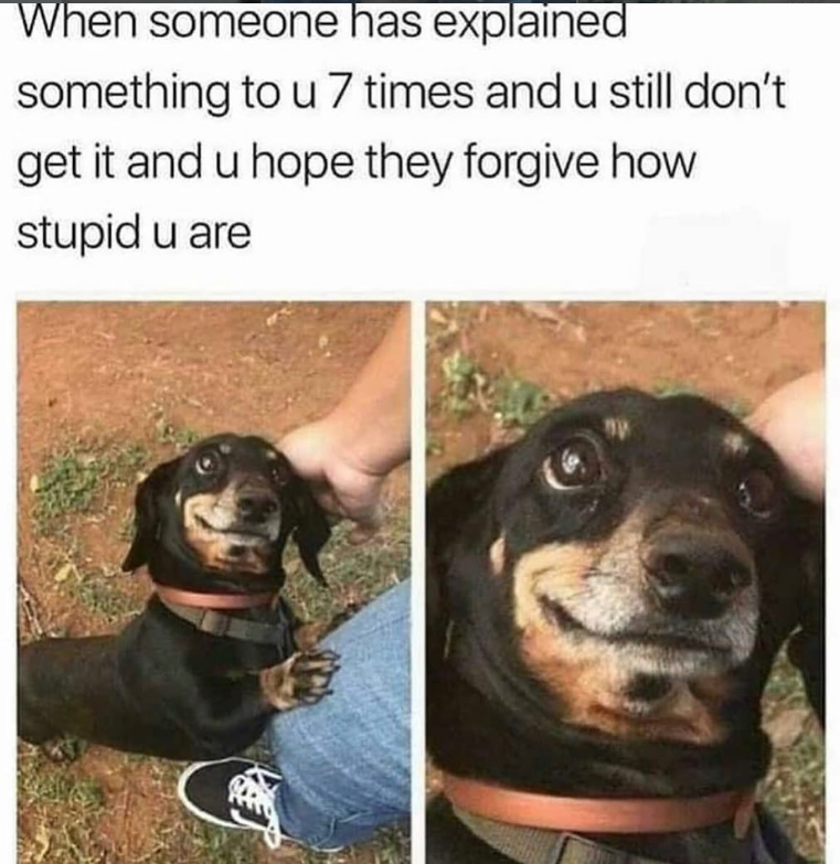 When someone has explained something to u 7 times and u still don't get it and u hope they forgive how stupid u are