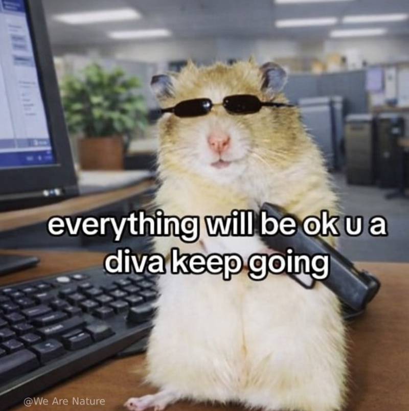 everything will be ok u a diva keep going @We Are Nature