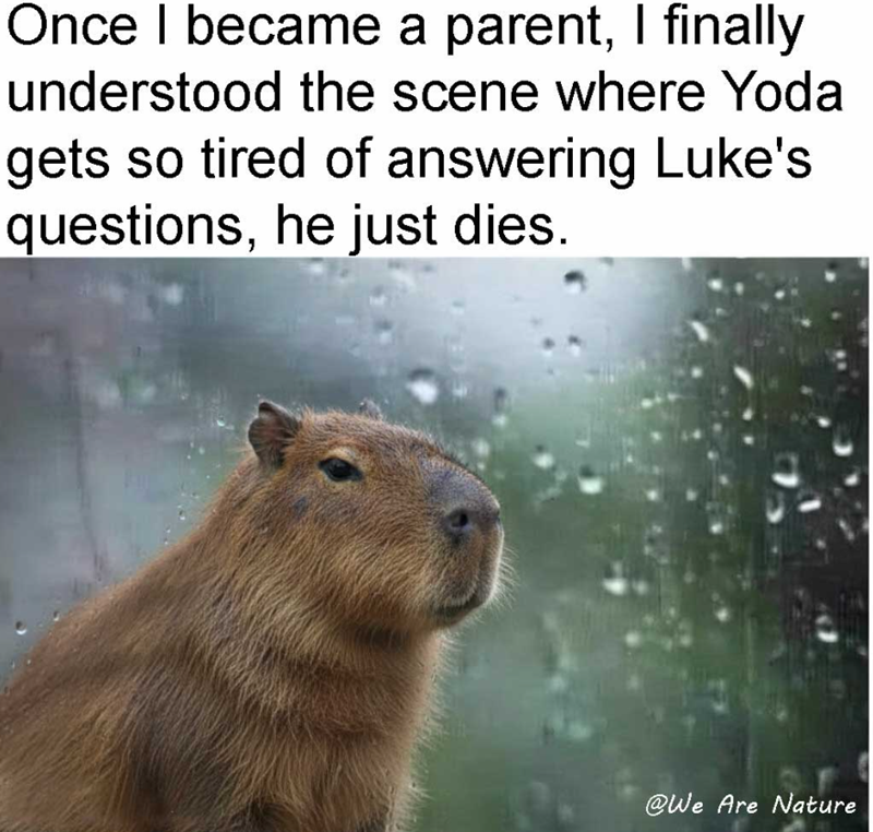 Once I became a parent, I finally understood the scene where Yoda gets so tired of answering Luke's questions, he just dies. @We Are Nature