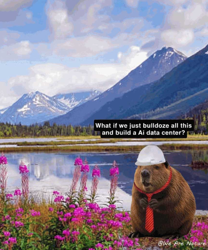 What if we just bulldoze all this and build a Ai data center? W @We Are Nature