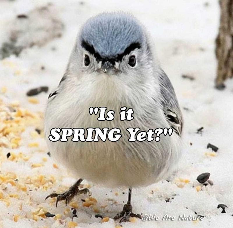 °°Is it SPRING Yet? @We Are Nature