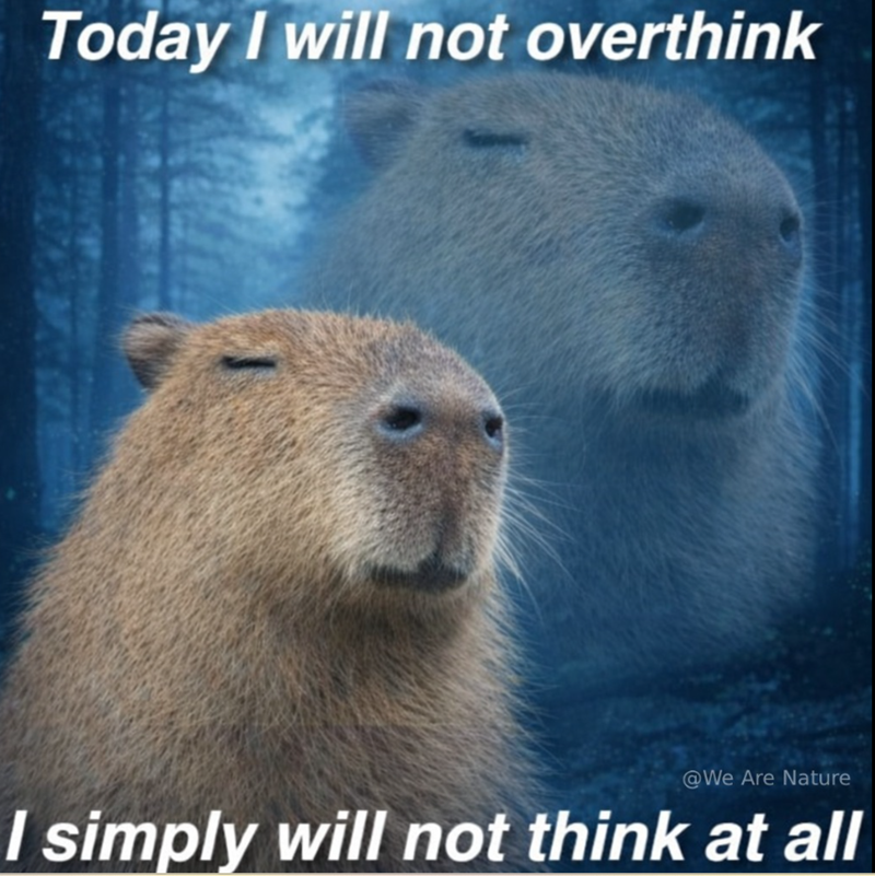 Today I will not overthink @We Are Nature I simply will not think at all