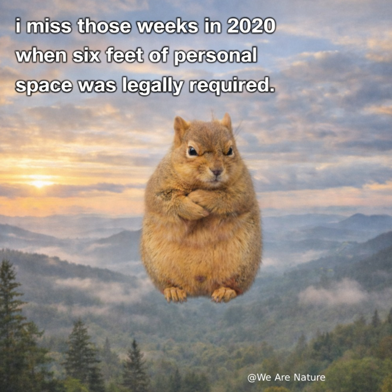 i miss those weeks in 2020 when six feet of personal space was legally required. @We Are Nature